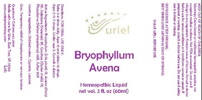 Bryophyllum Avena Liquid